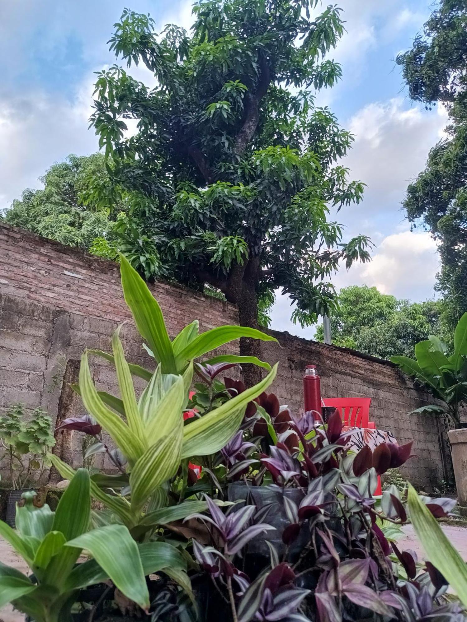 Entre Mangos Y Tucanes Calilegua ภายนอก รูปภาพ